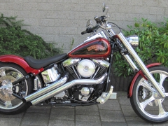 Buddyseat Motorzadel RayZ Harley Davidson