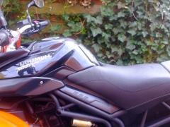 Buddyseat Motorzadel RayZ