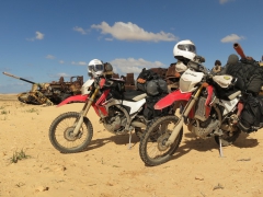 Buddyseat Motorzadel RayZ seat in Libya